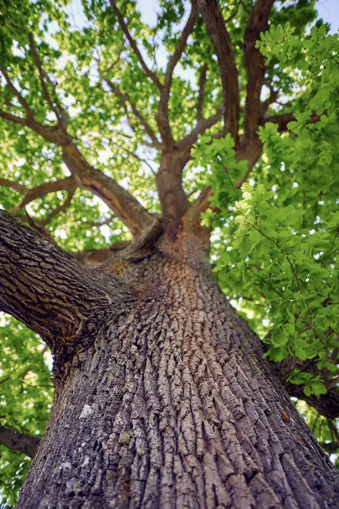 2 AdobeStock_352531568
