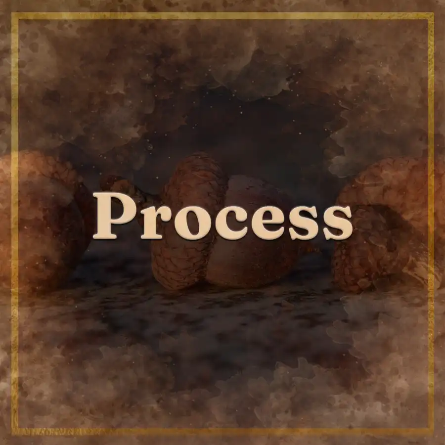 Process legacy video